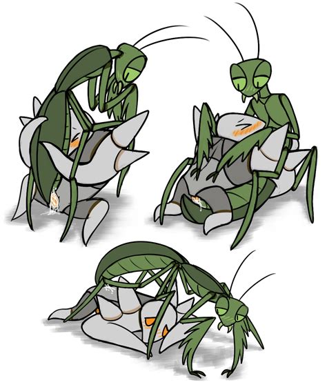 mantis rule34